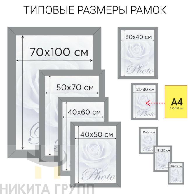 Рамка 21х30 см, пластик, багет 20 мм, BRAUBERG "HIT3", темный орех с двойной позолотой, стекло
