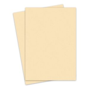 Бумага А4 оранжевая, пастель (10листов)