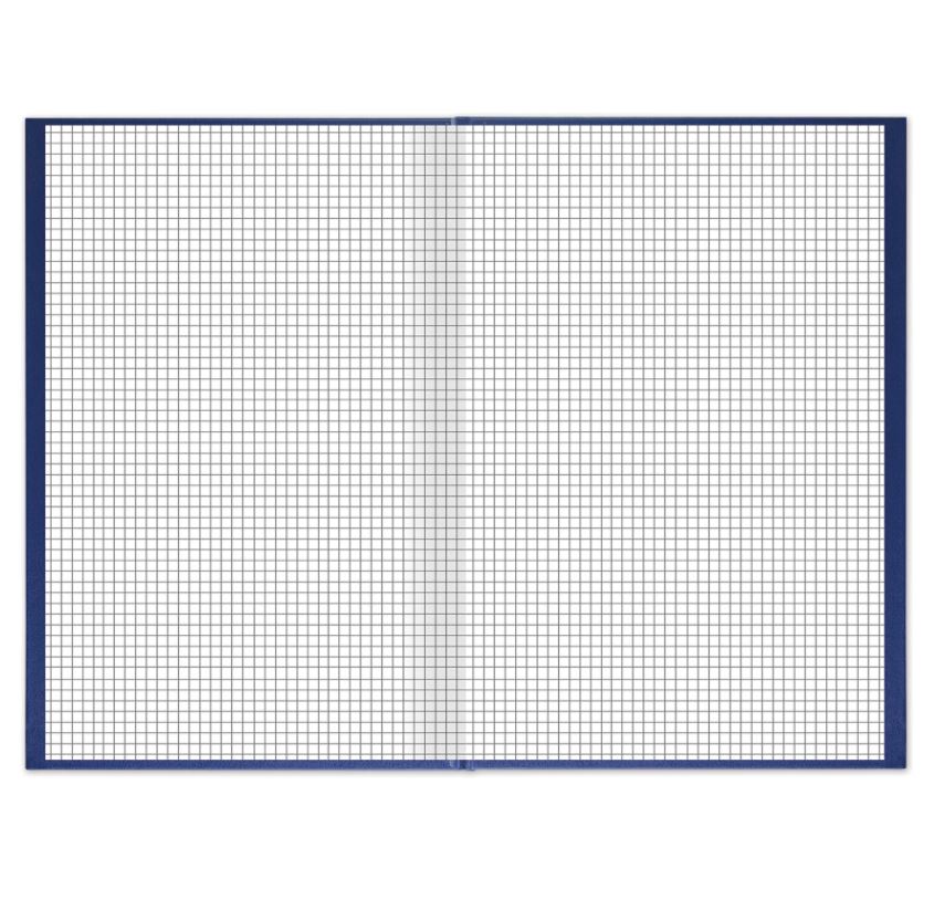 Книга учета 144 л., клетка, твердая, бумвинил, блок офсет, А4 (200х290 мм), BRAUBERG, синий
