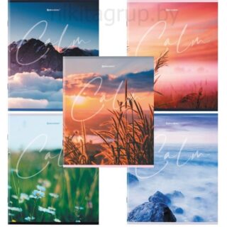 Тетрадь А5 96 л. BRAUBERG скоба, клетка, "Calm"