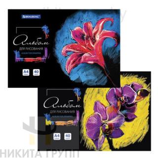 Альбом для рисования А4 40 л., склейка, обложка картон, подложка, BRAUBERG, 205х290 мм, "Blossom"