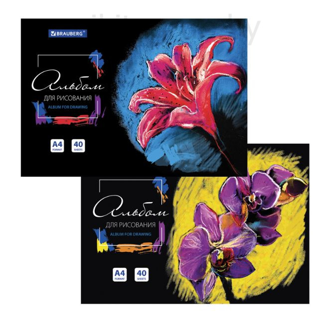 Альбом для рисования А4 40 л., склейка, обложка картон, подложка, BRAUBERG, 205х290 мм, "Blossom"