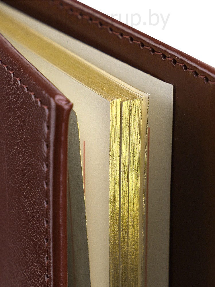 ПЛАНИНГ 56 л. недатир. SELECTION - BORDEAUX на гребне кожзам (бордовый) золотой срез 300х130мм